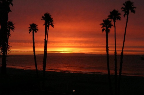 Casablanca Inn on The Beach image 19